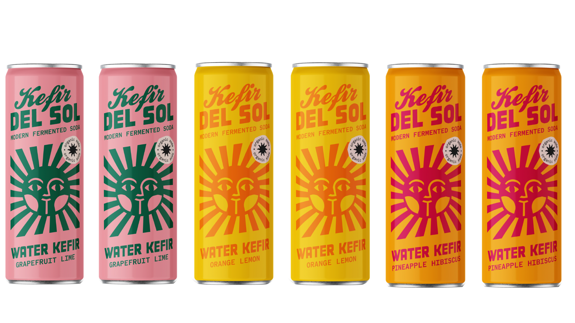Mixed Flavor (6-pack)